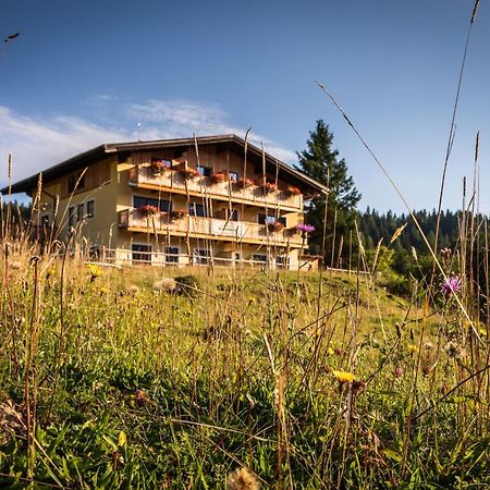 Almhaus Alpenrose Postalm Villa Seidegg Exterior photo