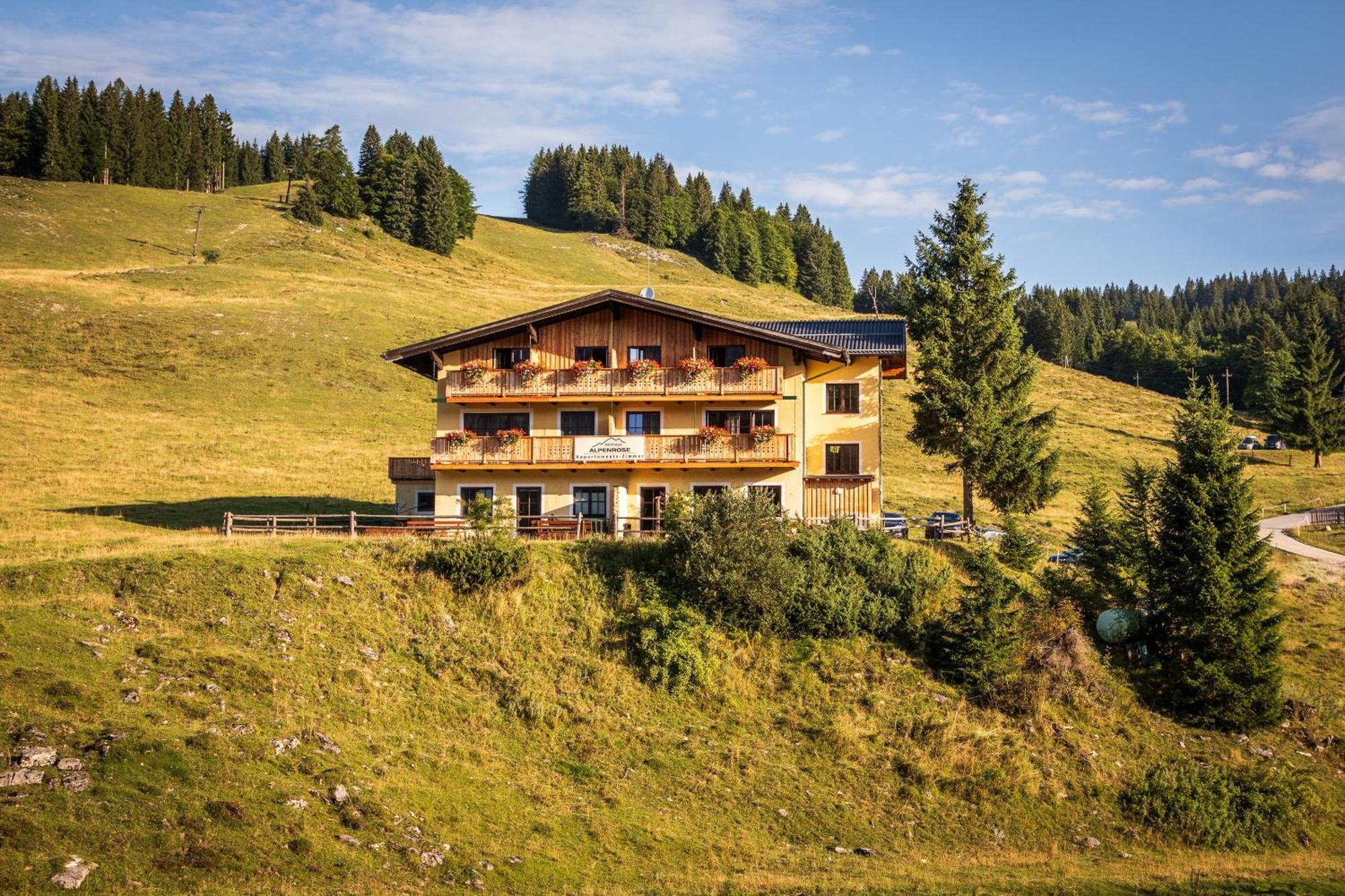Almhaus Alpenrose Postalm Villa Seidegg Exterior photo