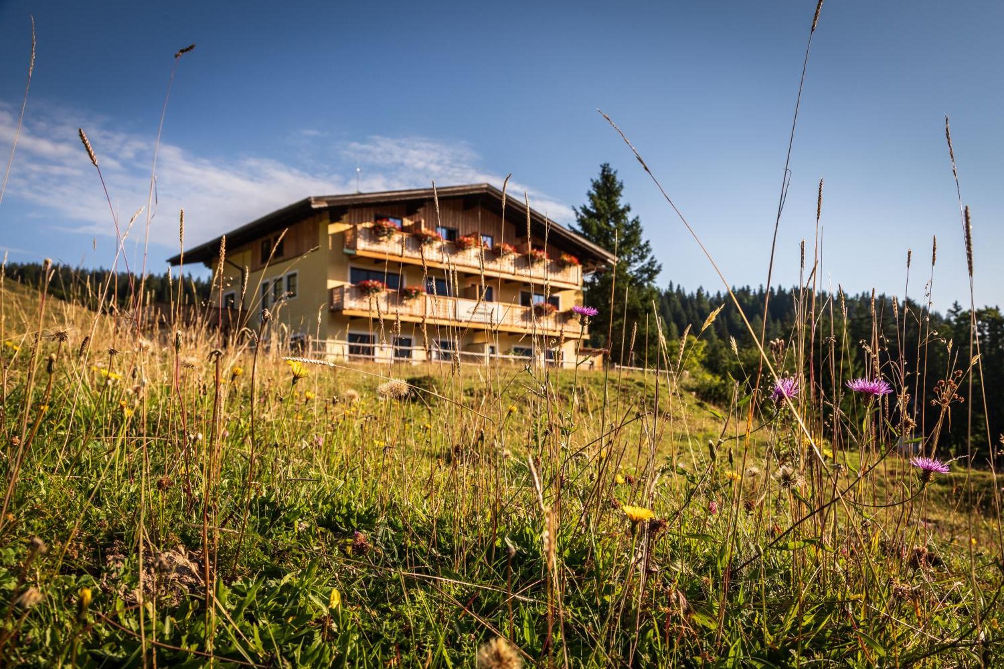 Almhaus Alpenrose Postalm Villa Seidegg Exterior photo