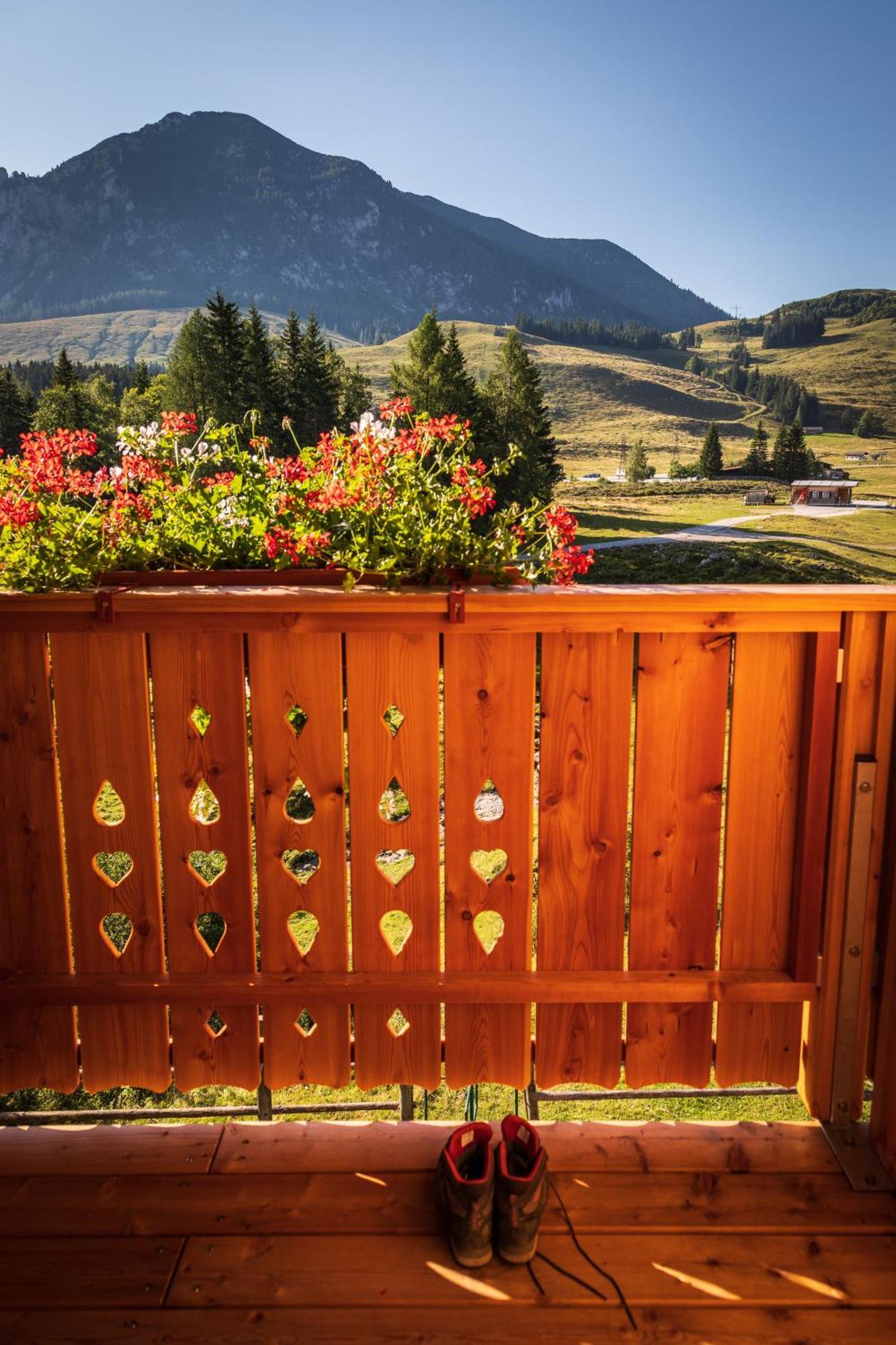 Almhaus Alpenrose Postalm Villa Seidegg Exterior photo